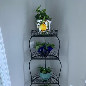 Meet your Posher, Grace and Gratitude